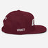 Cricket 1STAR Snapback Hat