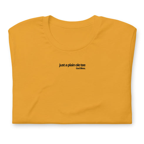 Just A Plain Ole Tee - God Bless - Onyx